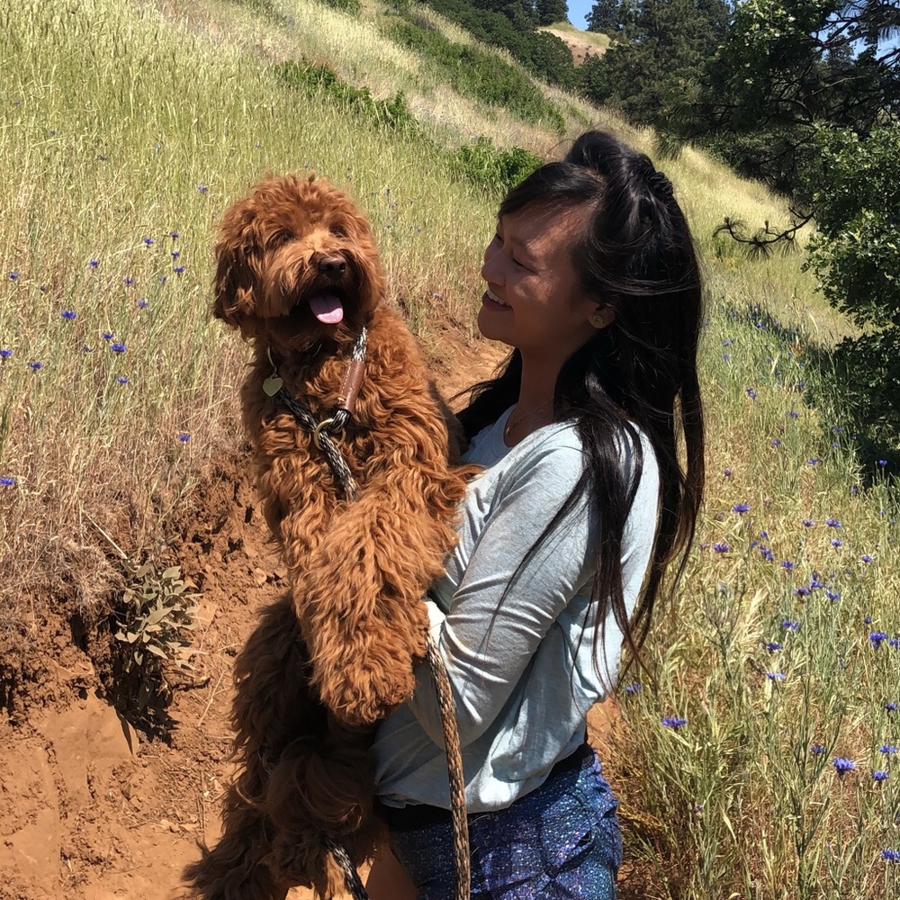 Meet your Posher, Dakota